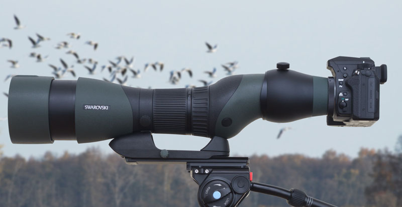 Swarovski TLS Apo 30 mm Digiscoping Adpater mit STX 85 Spektiv